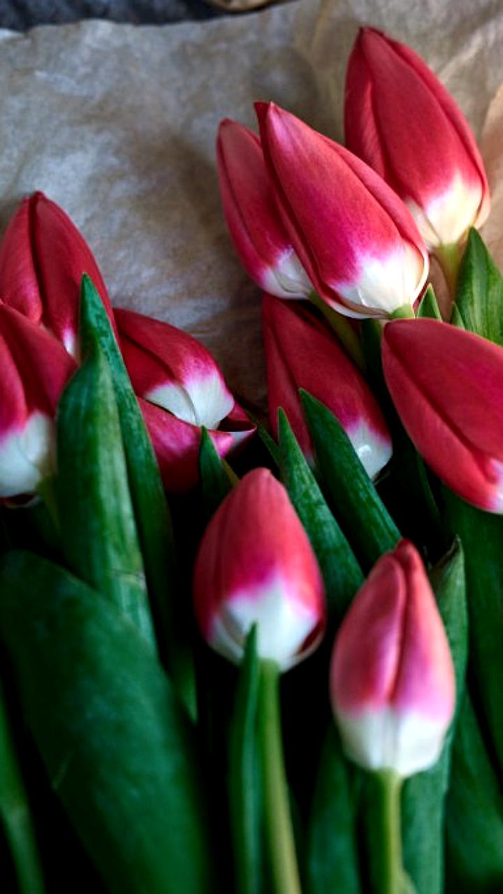 Владивосток предлагает места для торговли цветами к 8 марта, в Якутске планируют контроль за незаконной торговлей