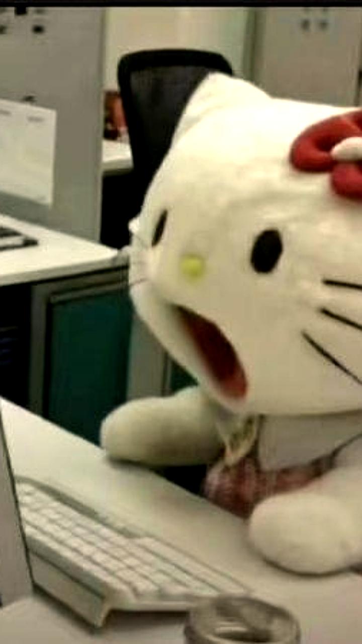 Сочи и Кавказ привлекают туристов из США, отмечает генконсул