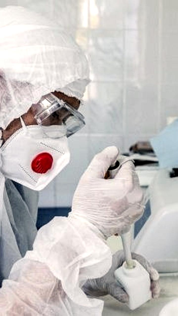 Штамм XFG Stratus остается доминирующим в новых случаях COVID-19 в России