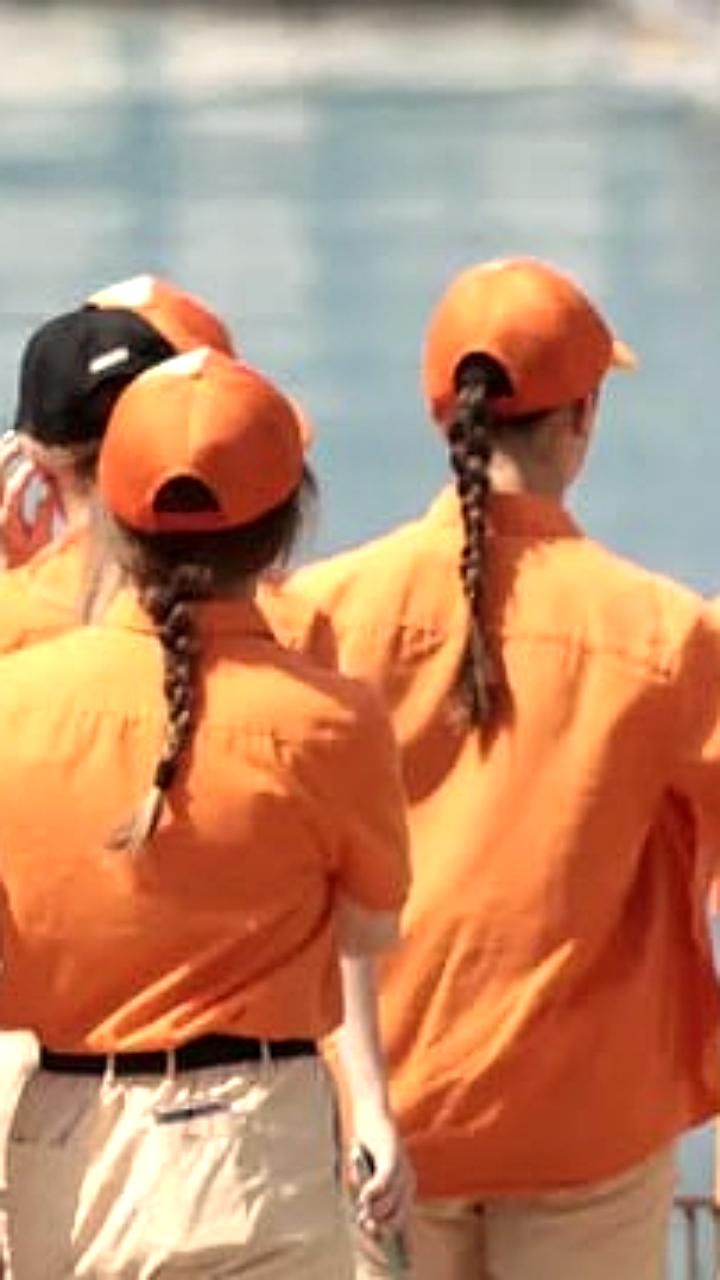 Правительство России выделит более 71 млрд рублей на развитие Артека до 2030 года