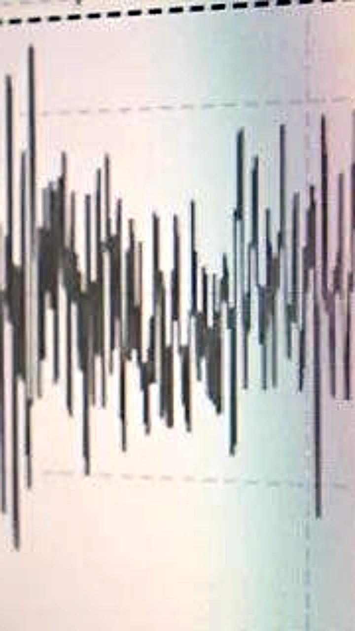 Подземные толчки зафиксированы в Новороссийске: повреждений нет