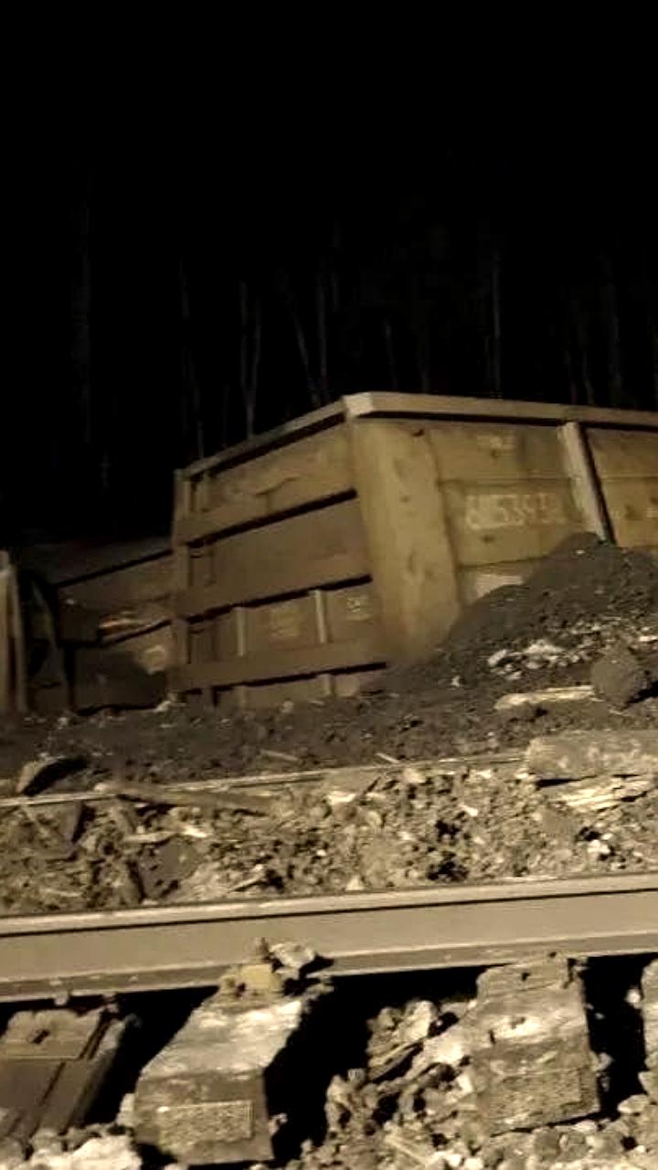 Десять вагонов грузового поезда сошли с рельсов в Хабаровском крае