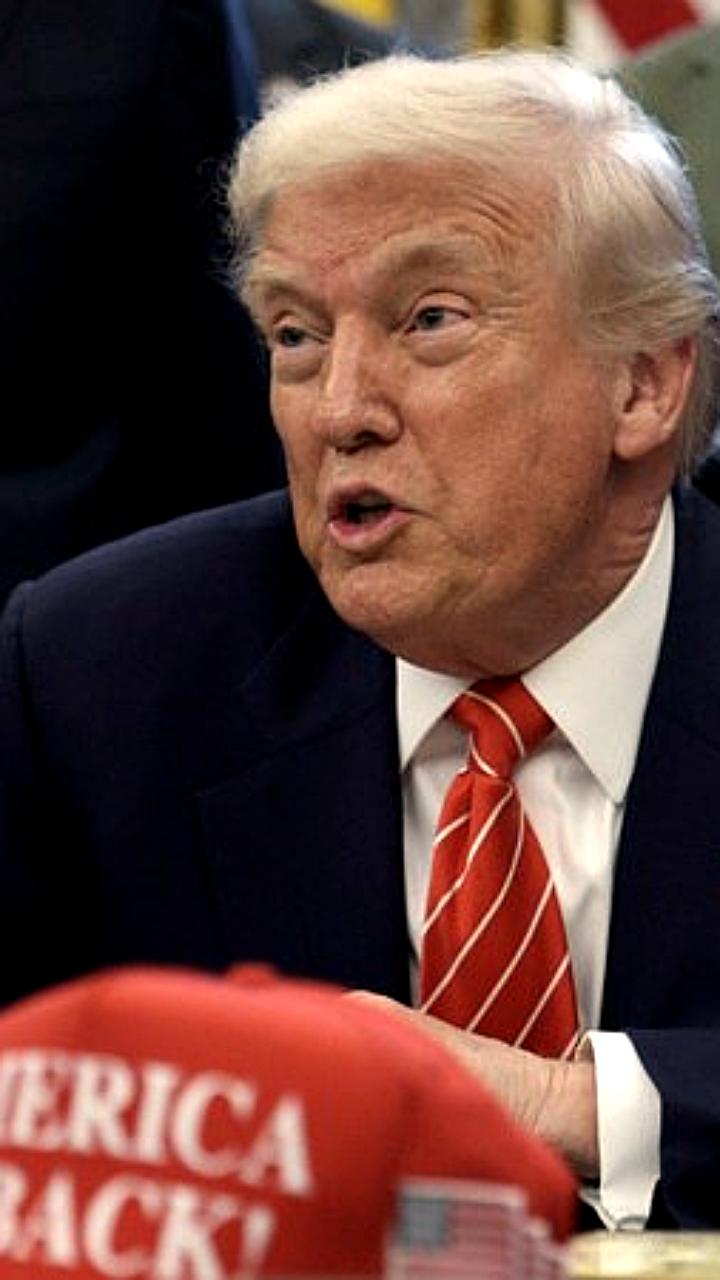 Трамп блокирует открытие моста между Онтарио и Мичиганом до получения компенсации