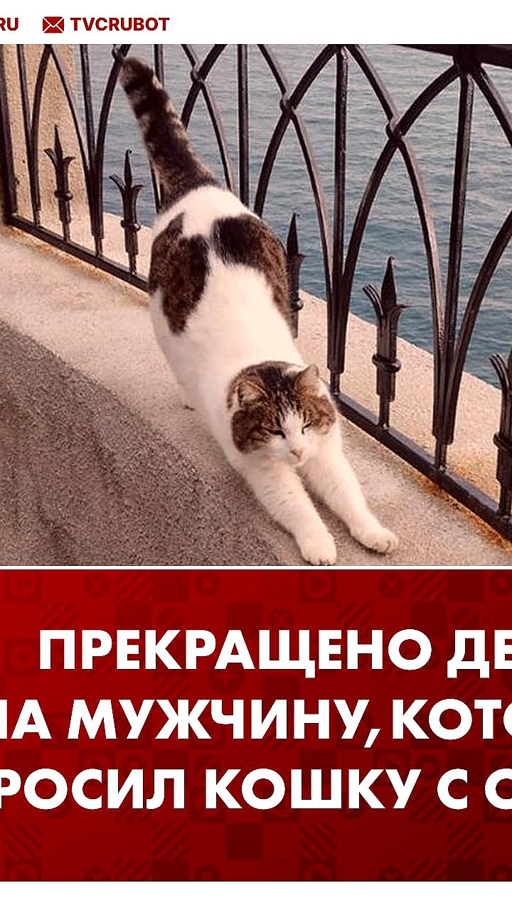 В Крыму прекращено дело о сбросе кошки с обрыва Ласточкиного гнезда