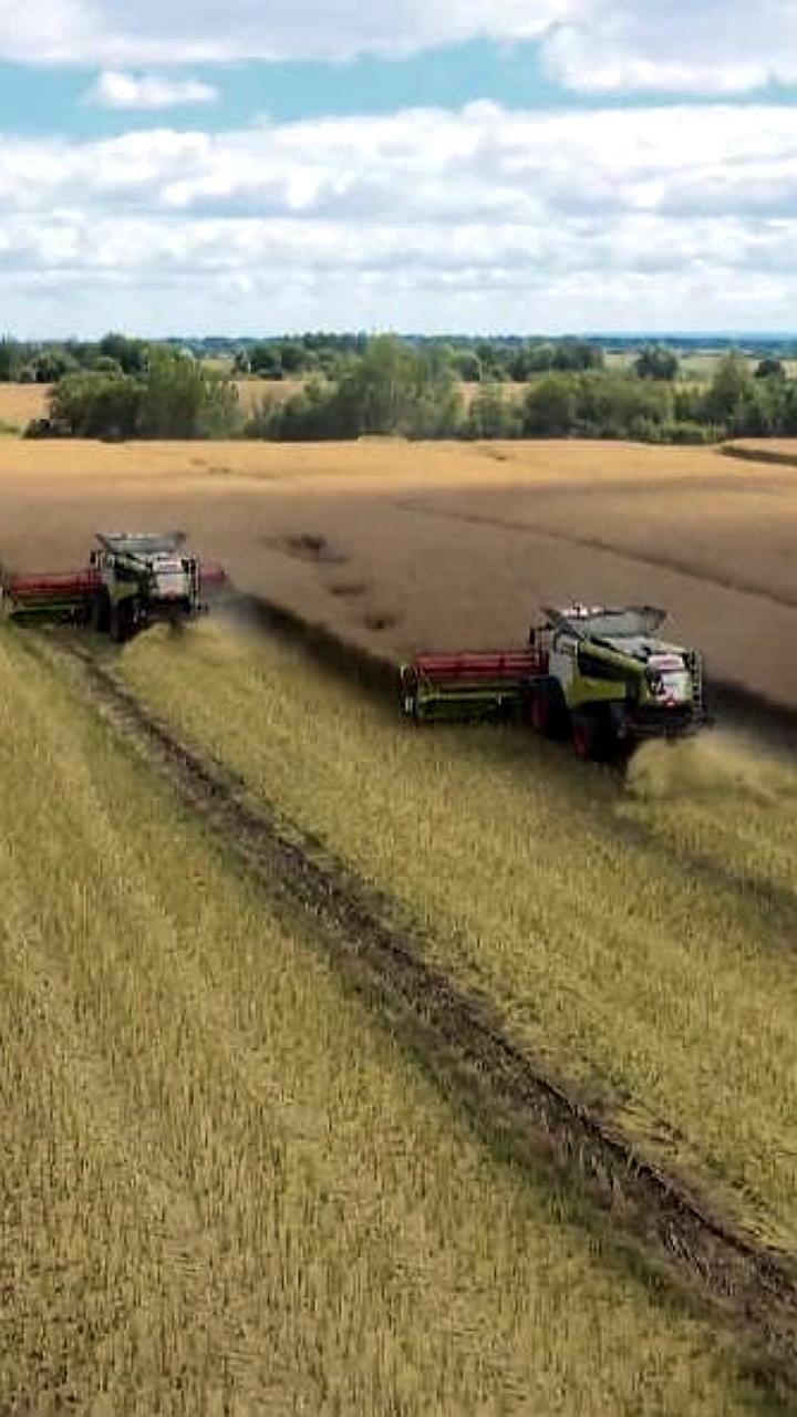 Регионы России увеличивают посевные площади благодаря возврату заброшенных земель