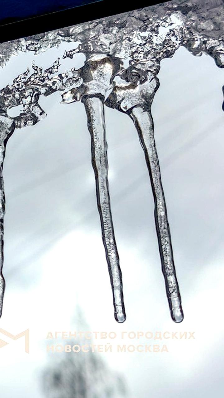 Москва ожидает резкие изменения погоды: от морозов к оттепели