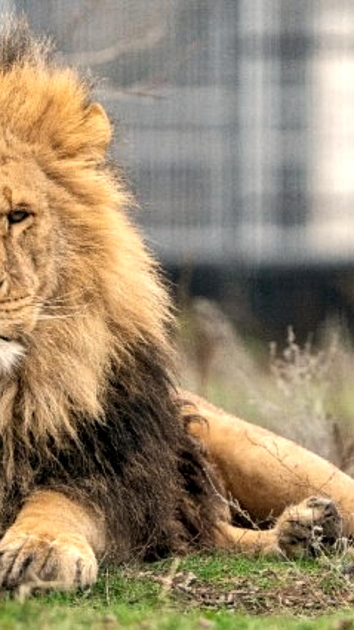 Праздничные мероприятия ко Дню святого Валентина в Волгограде и Пскове