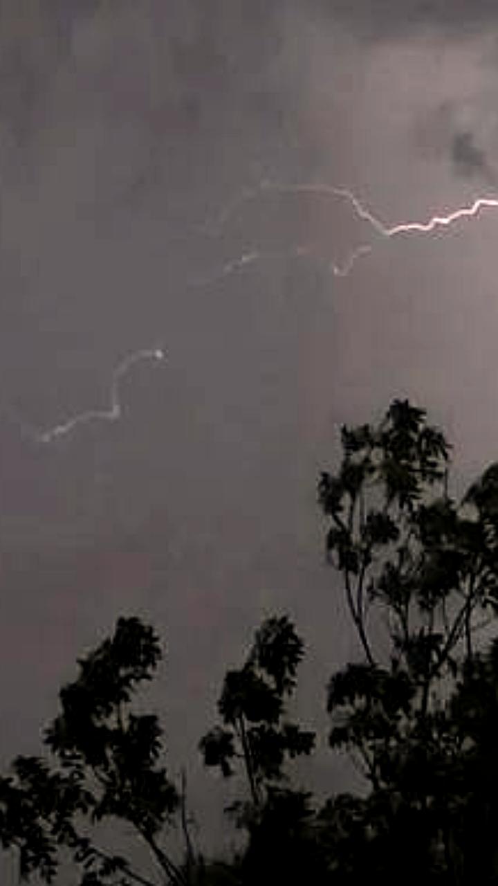 Синоптики предупреждают о сильном ветре и ухудшении погоды в Ташкенте