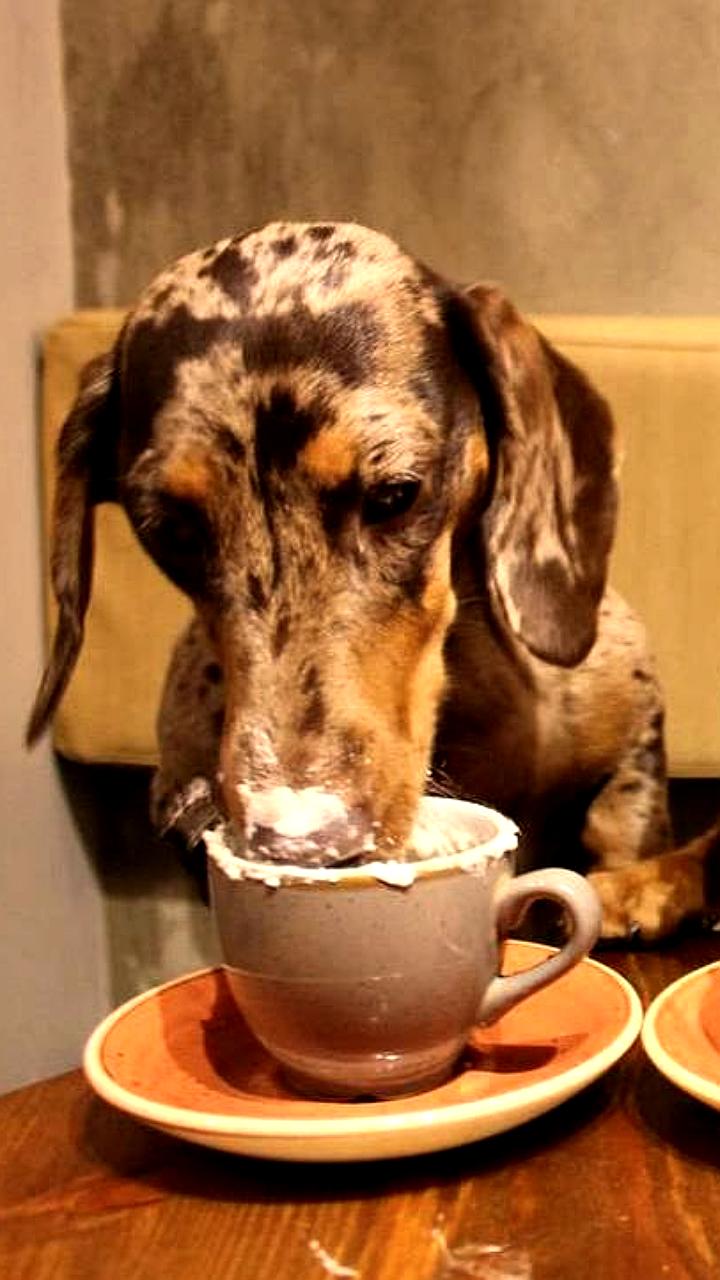 Исследования подтверждают: кофе снижает риск деменции и улучшает когнитивные функции