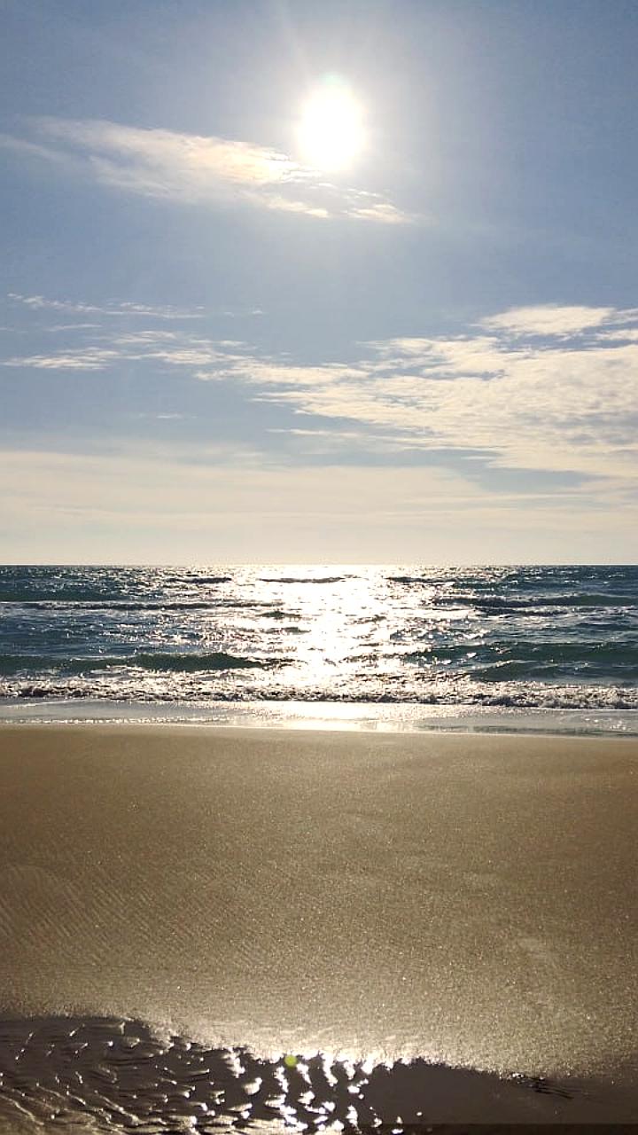 Власти Кубани опровергли слухи о новых выбросах мазута в Анапе