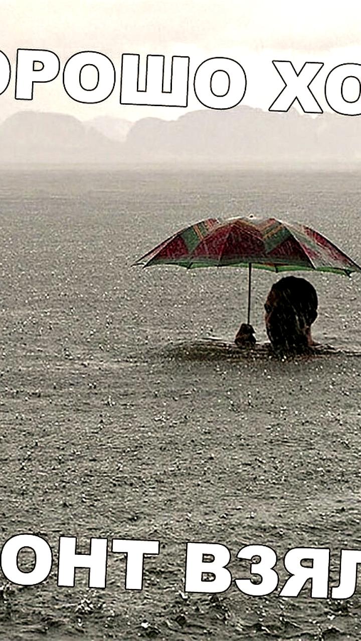 Прогноз погоды: дожди и повышение температуры ожидаются в Москве в пятницу