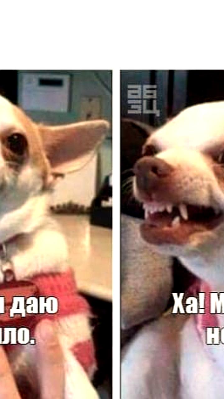 Январь 2026 года стал рекордным по числу магнитных бурь за 9 лет