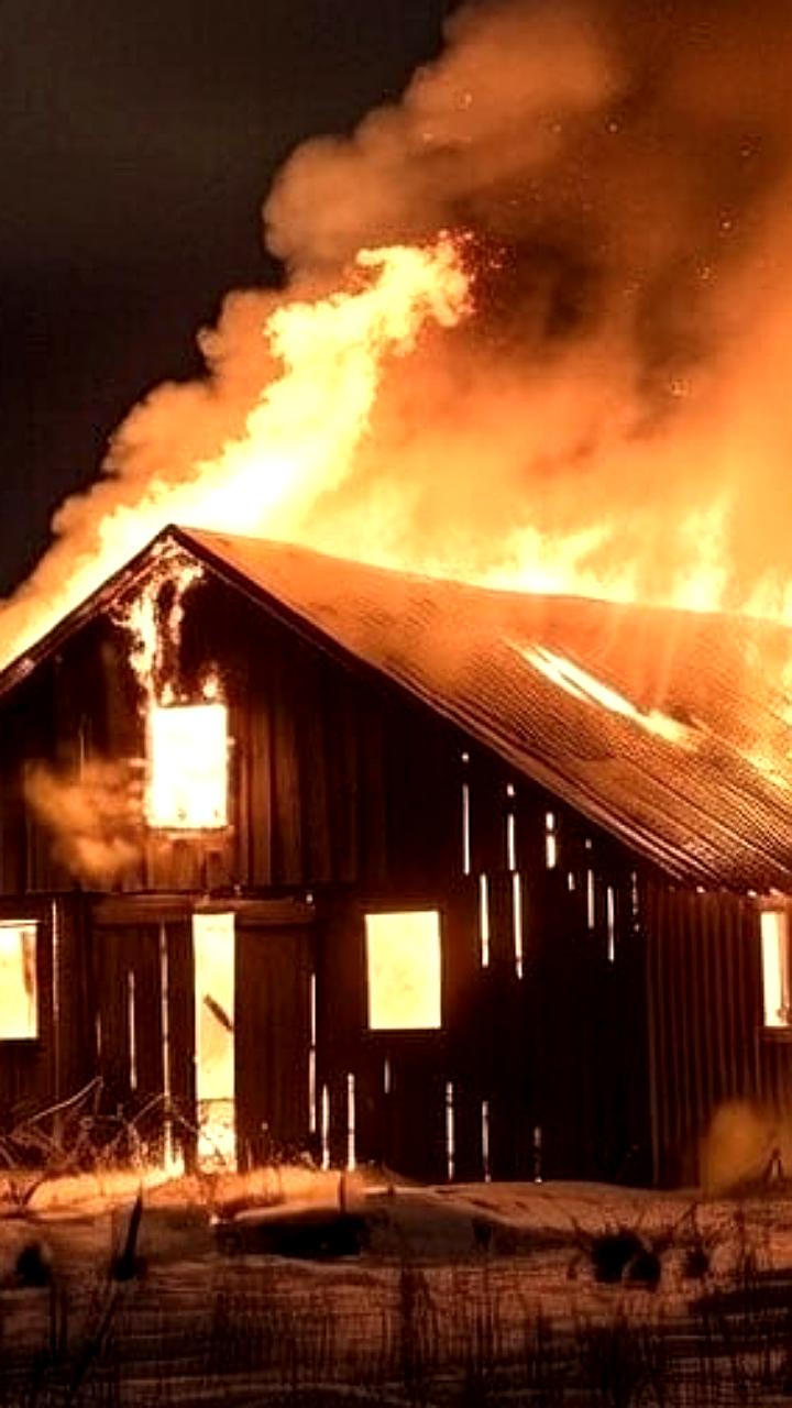 Пожары на фермах в Илекском районе и селе Лазо: потери среди животных