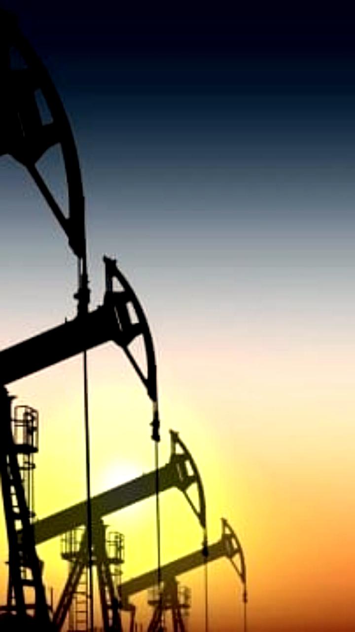 Германия переплатила почти 40 миллиардов евро за нефть после отказа от российского импорта