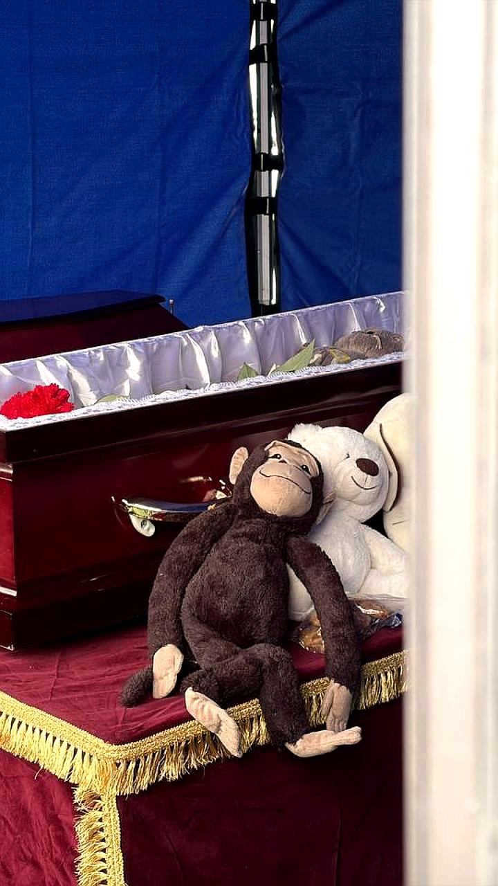 Прощание с Пашей Тифитулиным: церемония пройдет 11 февраля в Санкт-Петербурге