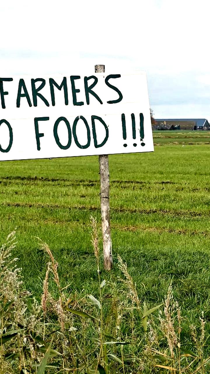 Россия разрабатывает технологии для производства продуктов, независимых от климата