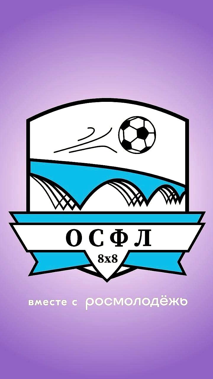 Межрегиональный этап Школьной футбольной лиги Кожаный мяч стартует в Южно-Сахалинске