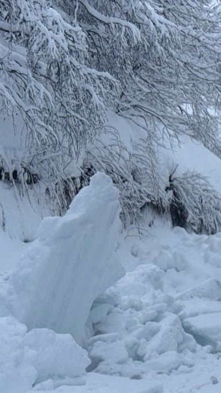 Директор управляющей компании обвиняется в причинении вреда 11-летней девочке из-за падения снега