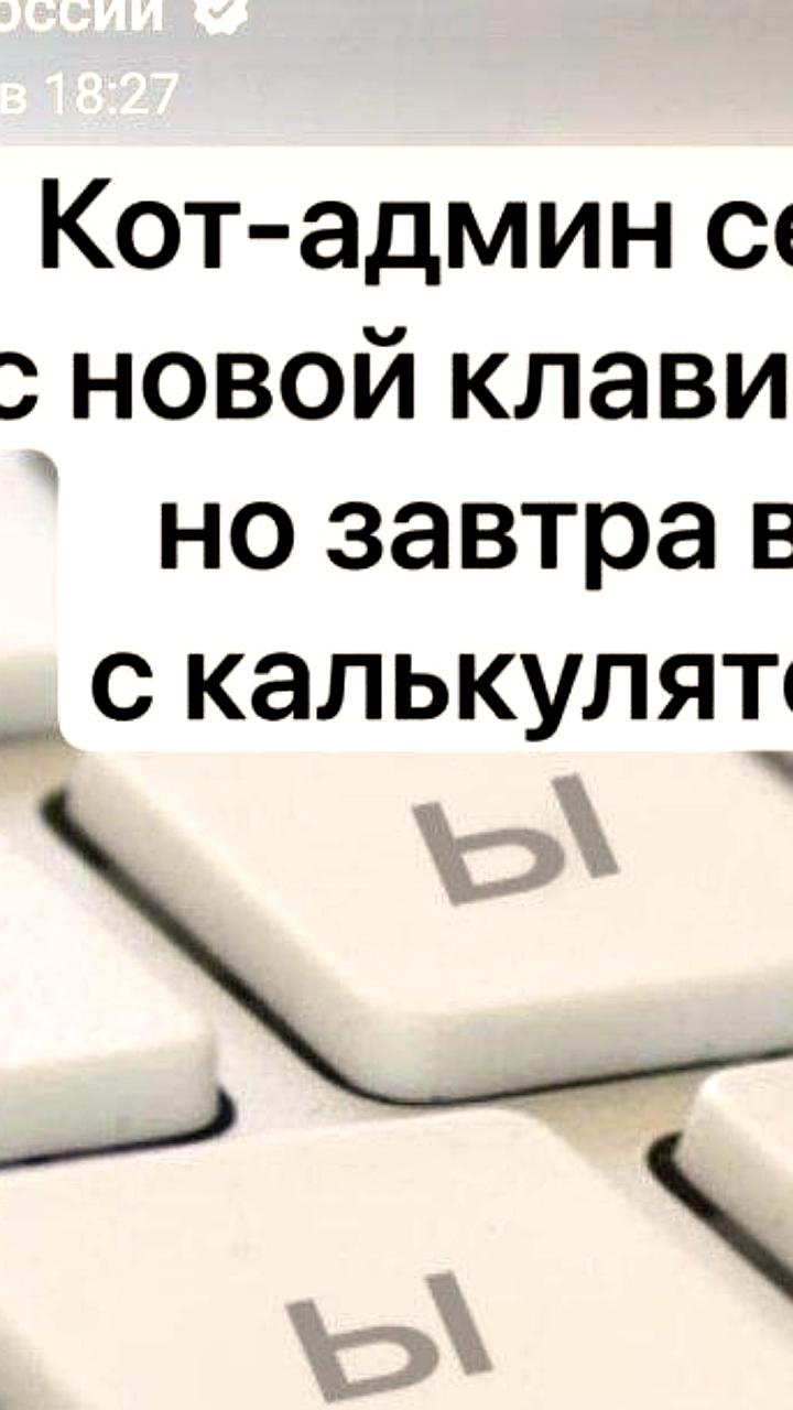 Банк России объяснил утренний сбой в канале инцидентом с котом