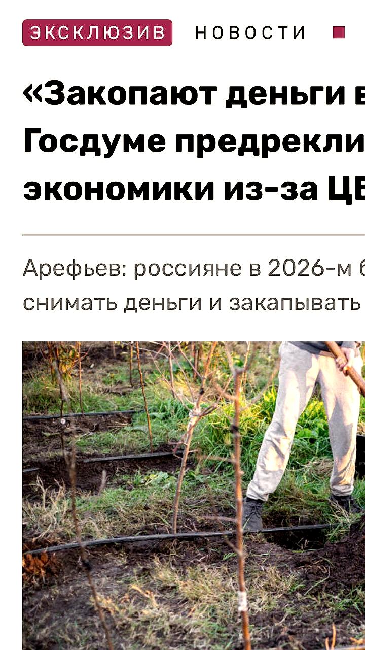 Госдума предсказывает массовое снятие денег россиянами к 2026 году