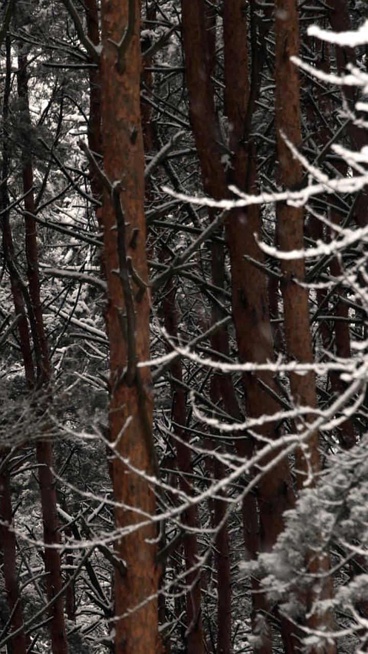 В Мирном продолжаются поиски пропавших мужчин