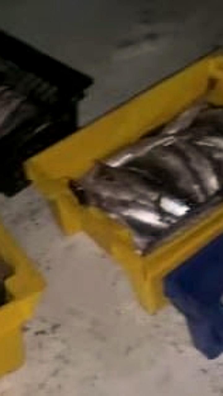 В Бурятии задержаны ловцы омуля: полиция изъяла более 500 рыб и запрещенные орудия лова