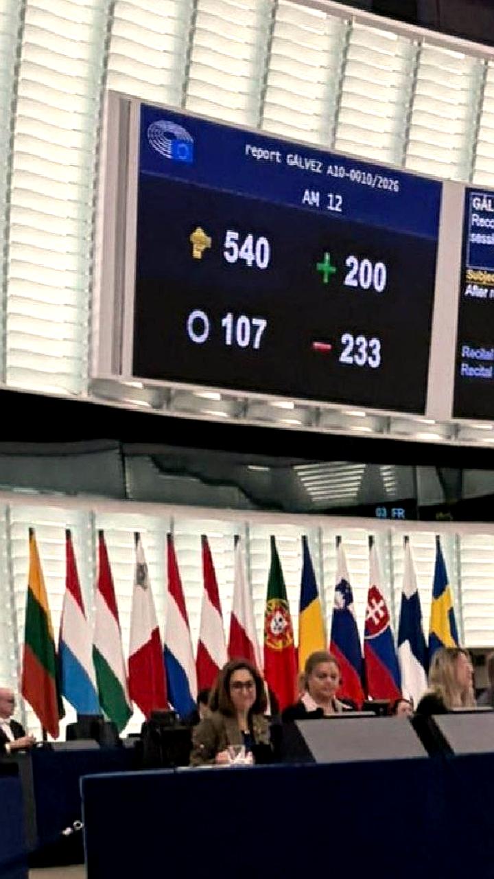 Европейский парламент обсуждает возможность беременности только для биологических женщин