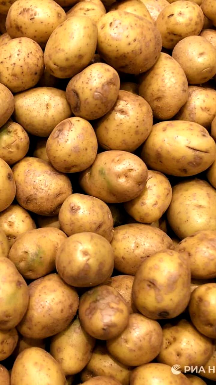 Россия лидирует в мировом производстве малины и занимает пятое место по картофелю