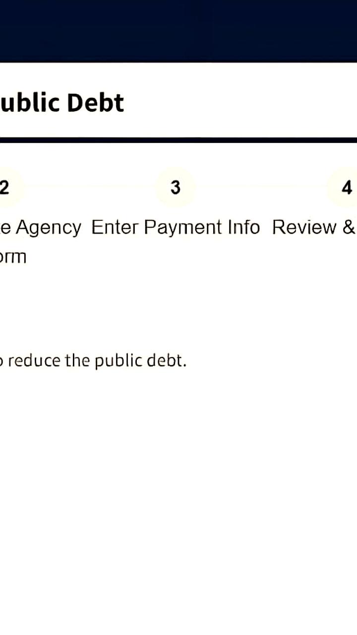 США запускают сбор добровольных взносов для погашения госдолга