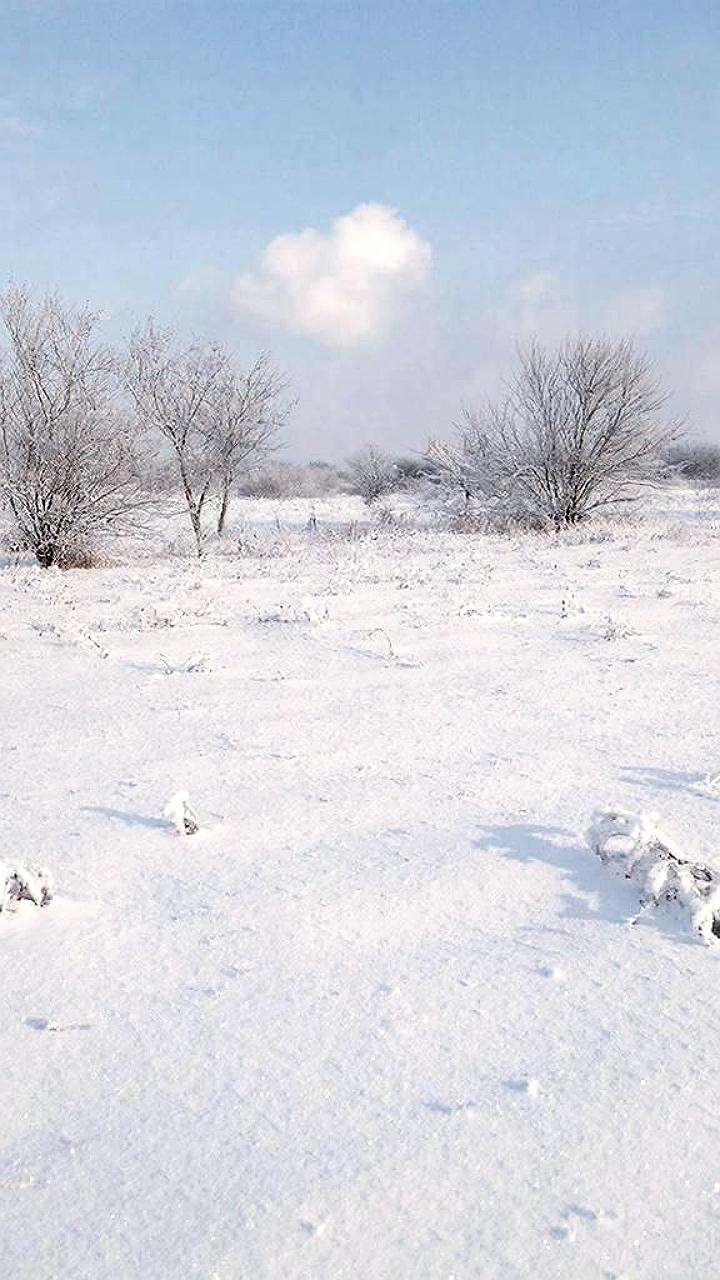 Прокуратура Приморья вернула госсобственность на 1,6 млрд рублей