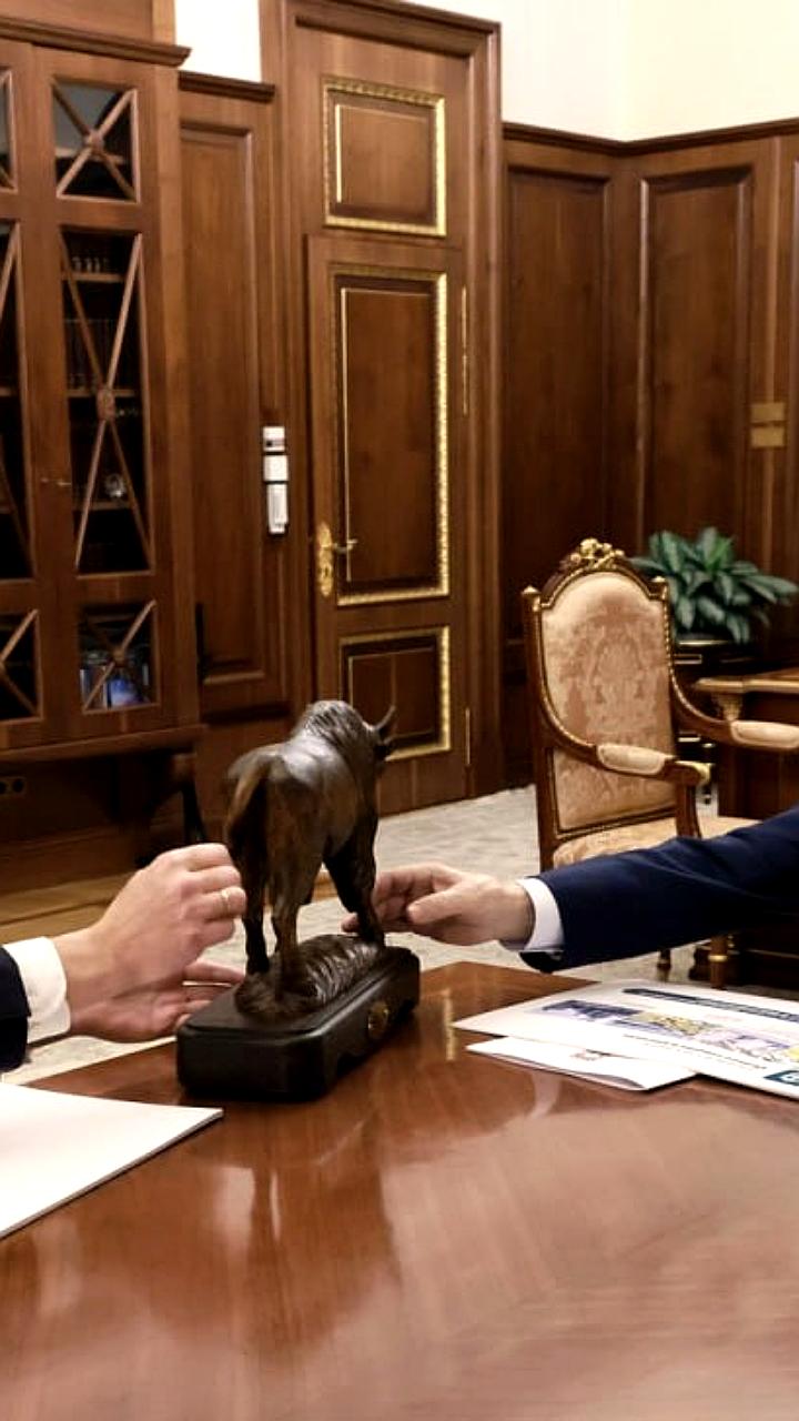 Путин и Клычков обсудили проекты и популяцию зубров в Орле