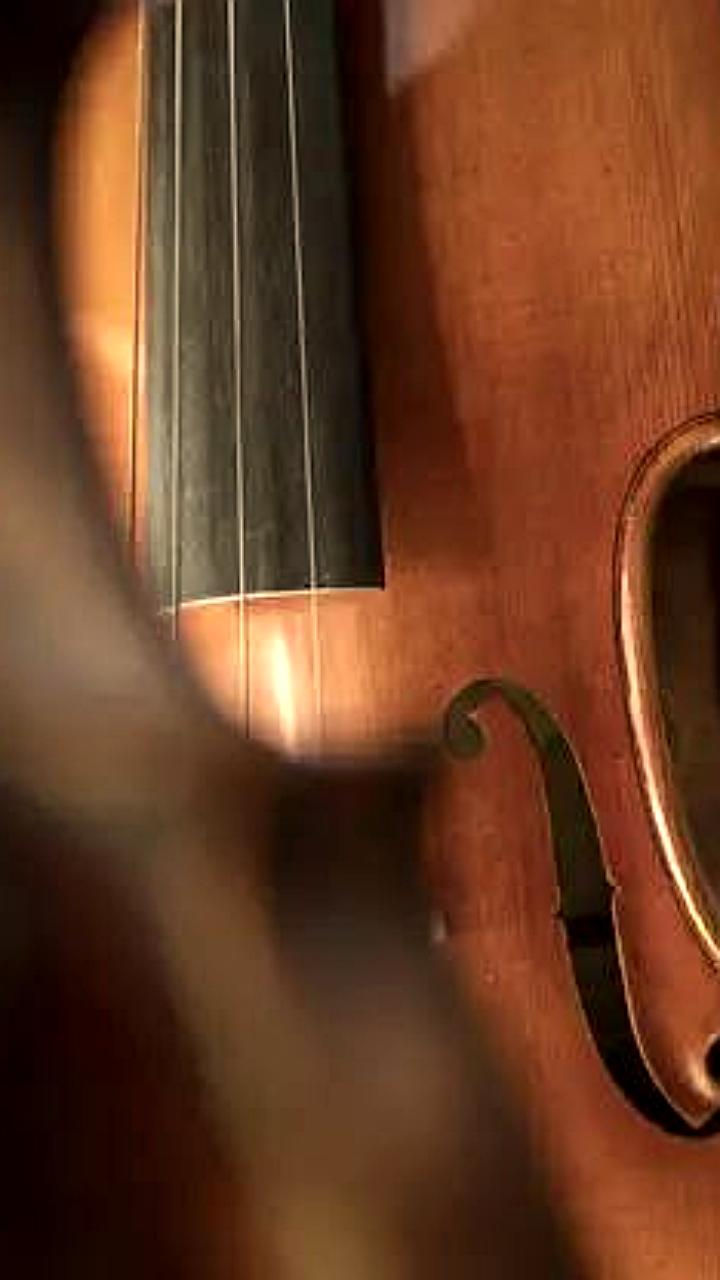 В Омске завершился III Межрегиональный конкурс на струнно-смычковых инструментах имени Шпета