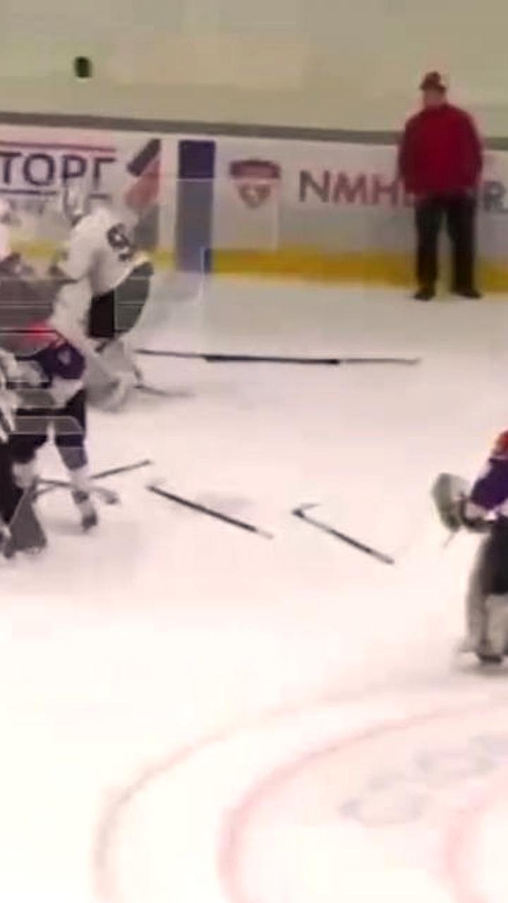 Массовая драка на хоккейном матче между Соколом и Динамо