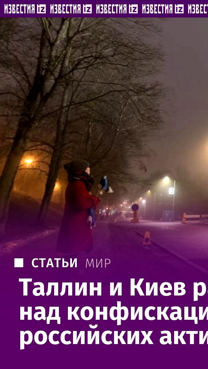 Эстония и Украина обсуждают конфискацию замороженных российских активов