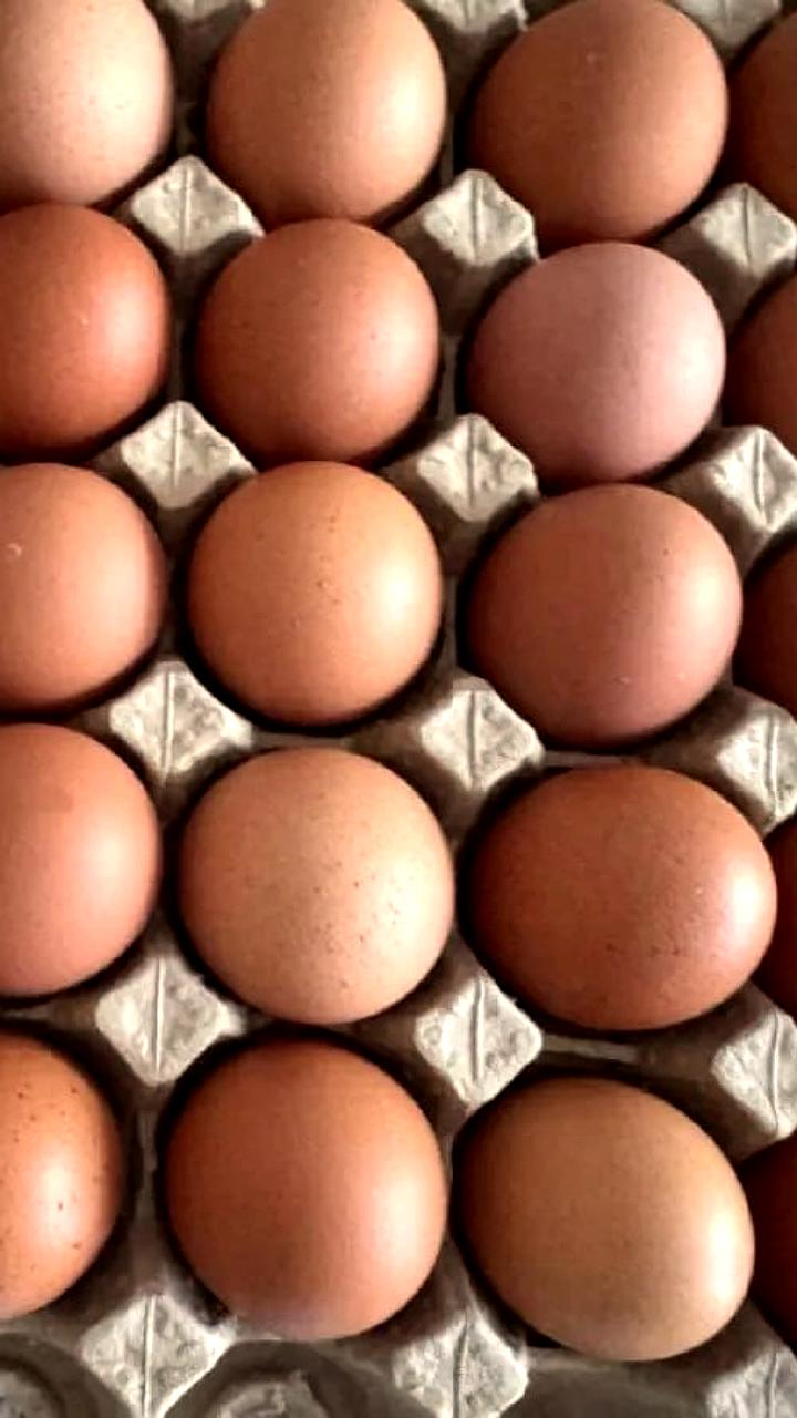 Фермер из района имени Лазо открыл птицефабрику с помощью гранта Агростартап