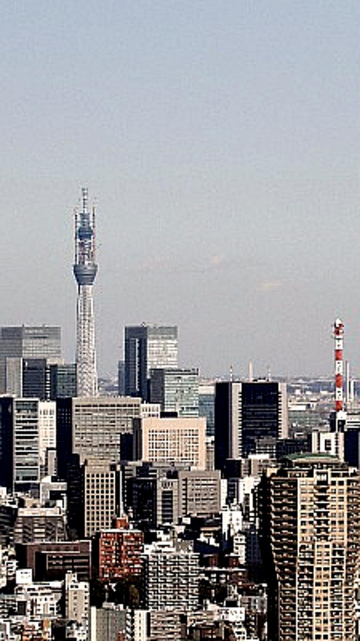 Рост туристических поездок по России: 33,7 млн в зимнем сезоне 2025-2026