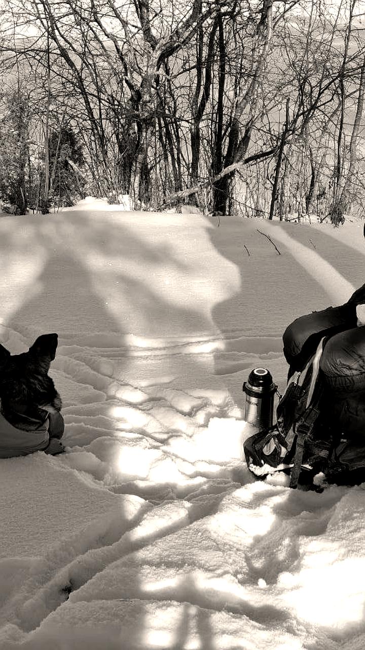 Трагедия на Ладожском озере: художник погиб, его пес усыпан