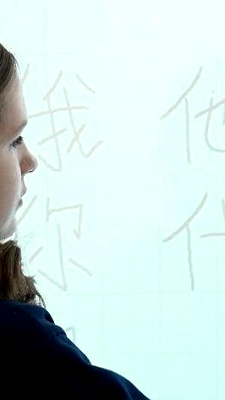 Более 2500 школьников Амурской области изучают китайский язык в честь Нового года