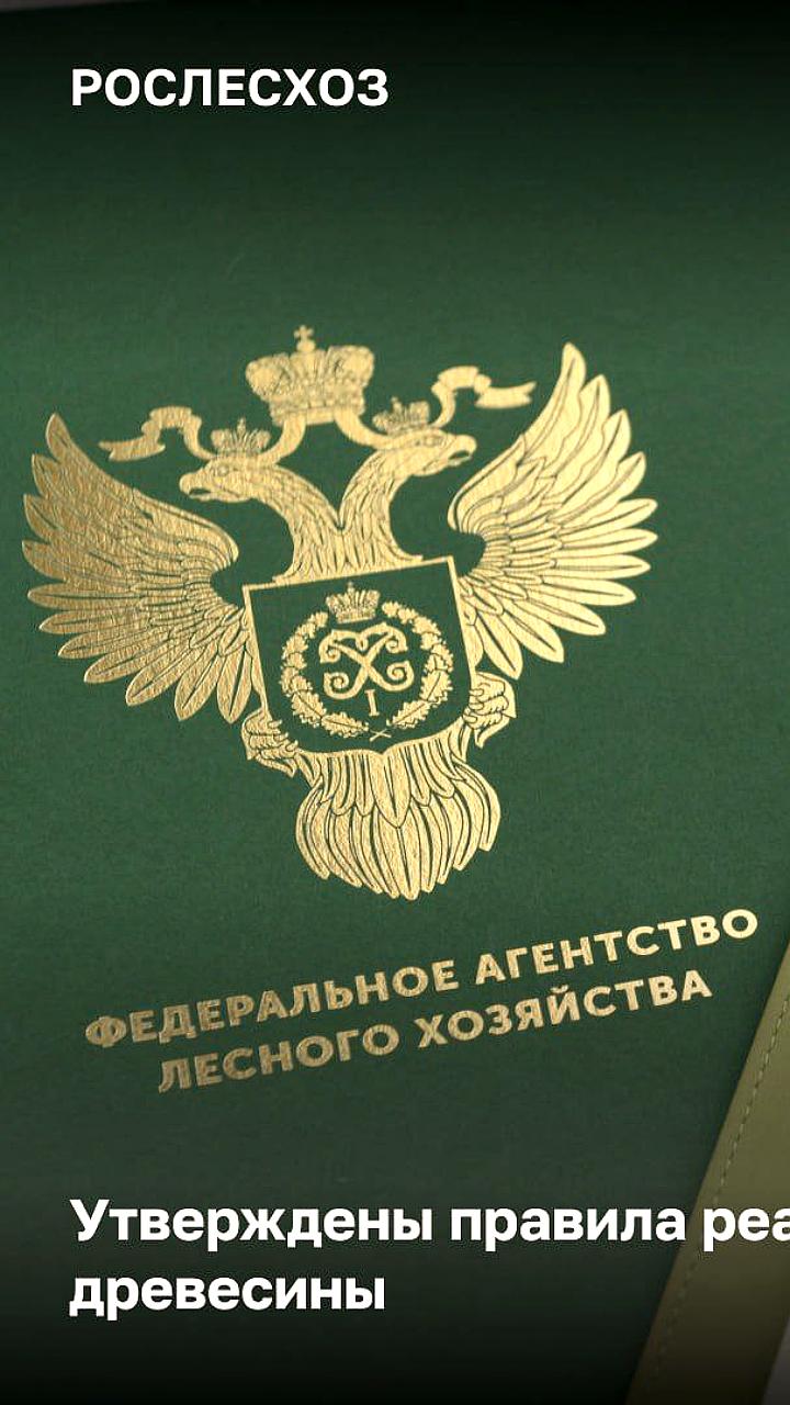 Правительство России утвердило новые правила реализации древесины срубленных деревьев