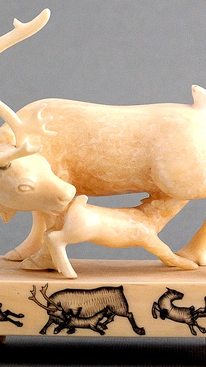 В Магадане открылась выставка 'Россия матушка земля'