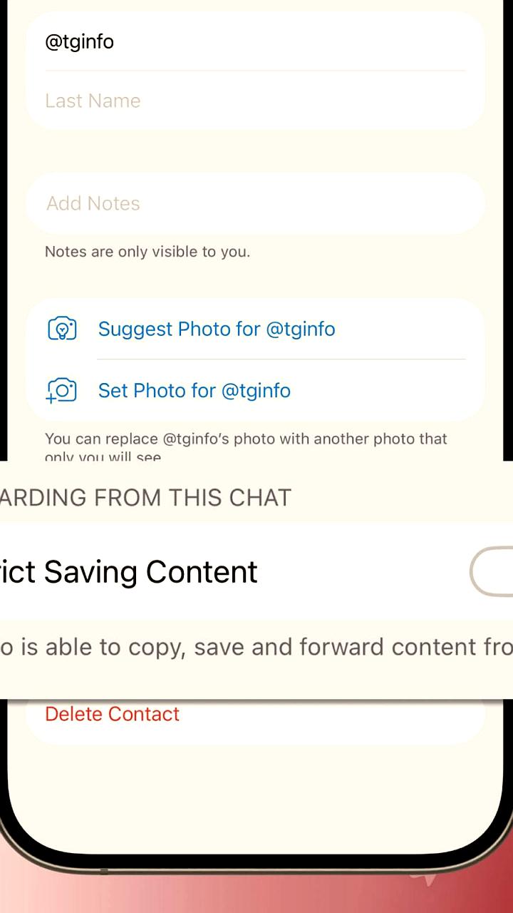 Telegram добавляет функцию запрета копирования сообщений в личных чатах