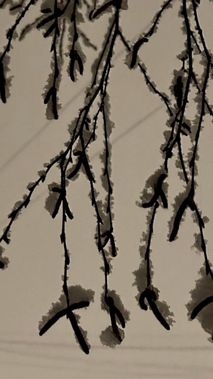 Мониторинг качества воздуха в Рязани и Краснодарском крае: результаты и планы