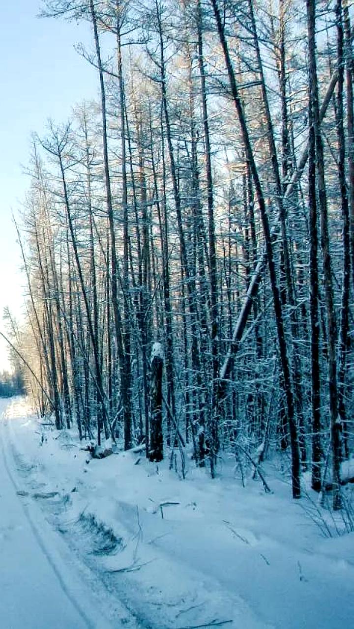 Продолжаются работы по расширению газопровода Сила Сибири и строительству отводов к Вилюйску