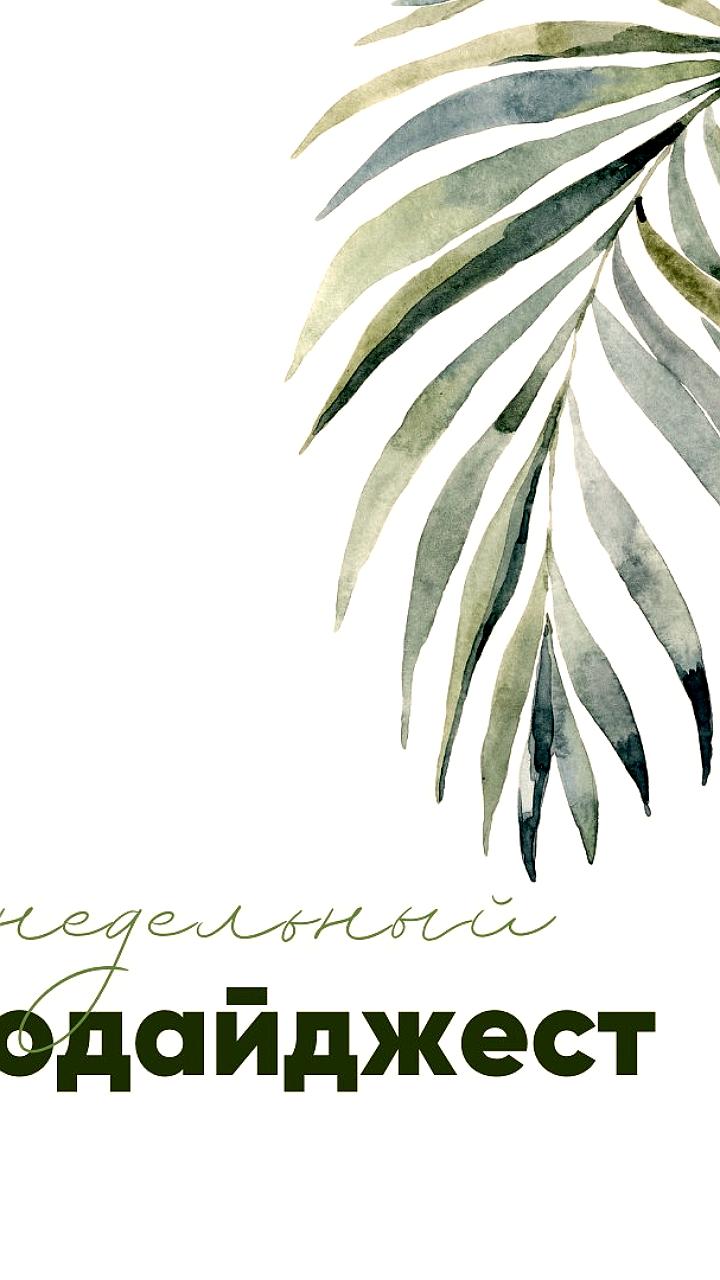 Амстердам вводит запрет на рекламу товаров, использующих ископаемое топливо