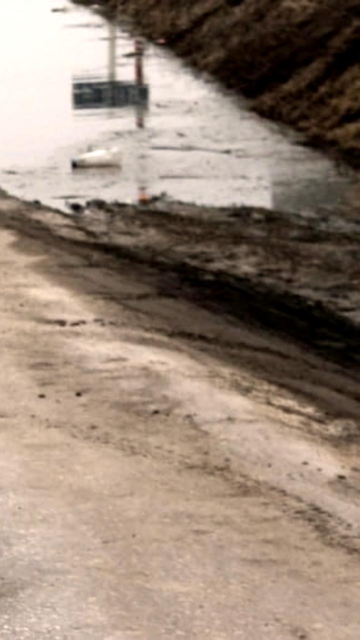 В Воронежской области затоплены участки и дома из-за потепления