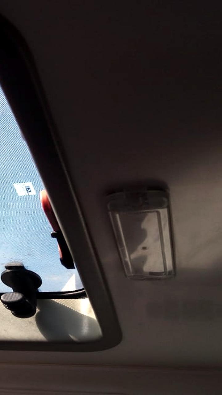 Падение деревьев в Воронеже и Каменске: без пострадавших, но с повреждениями