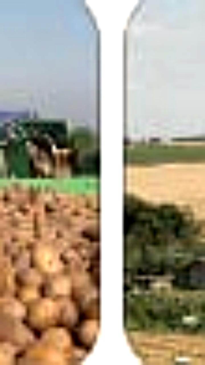 Открыт конкурс на должность министра сельского хозяйства Новгородской области