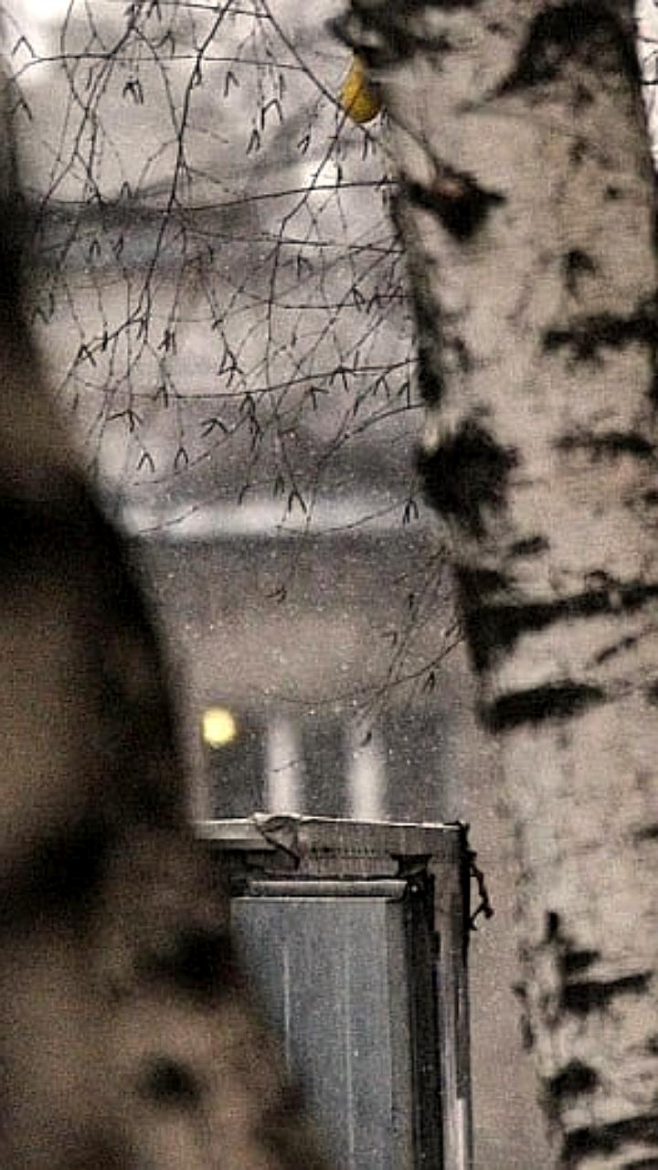 Масленица в Вологде: ограничения движения и праздничные мероприятия на Кремлёвской площади