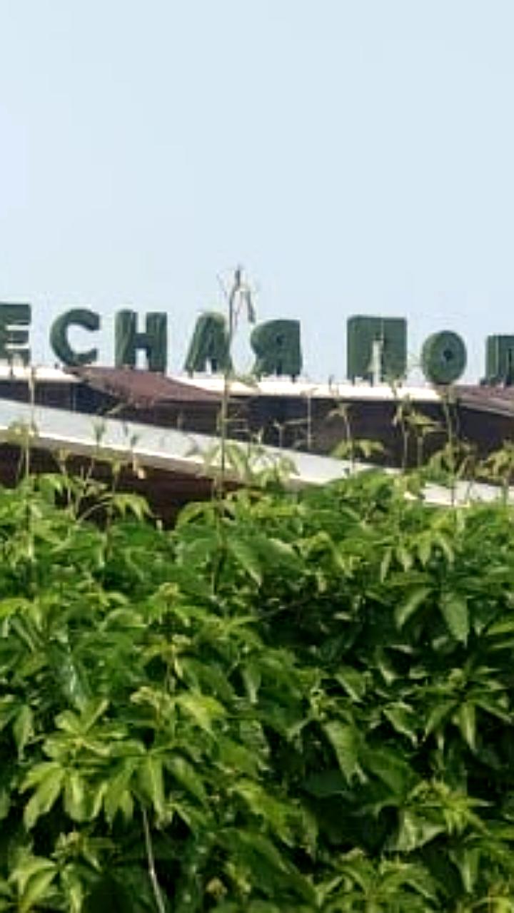 Владивостокский суд завершил процесс возврата Центра отдыха 'Лесная поляна' в муниципальную собственность