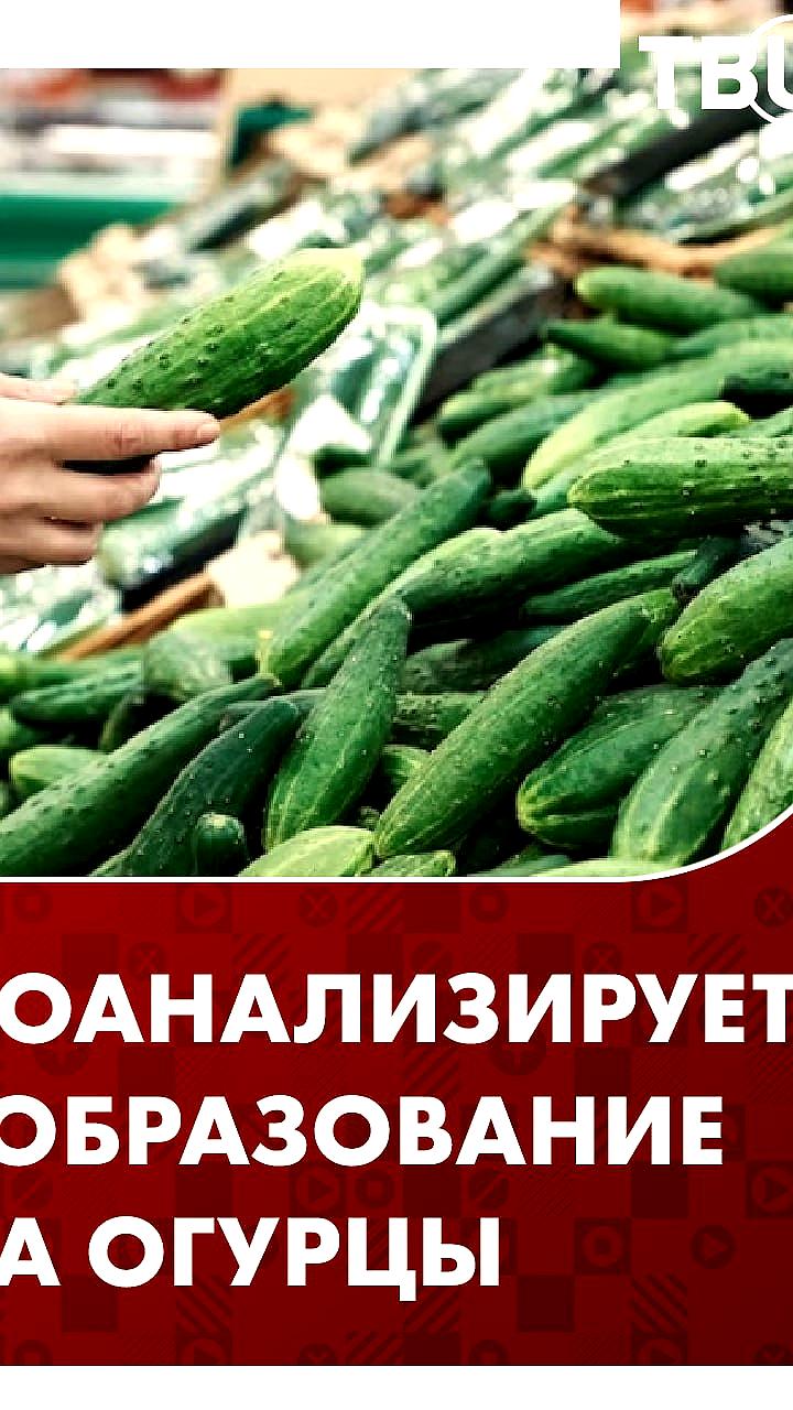 ФАС инициирует анализ цен на огурцы в розничной торговле